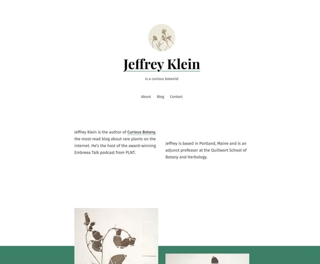 seedlet best resume website templates 